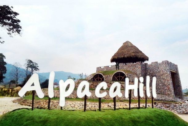 อัลปาก้าฮิลล์ สวนผึ้ง