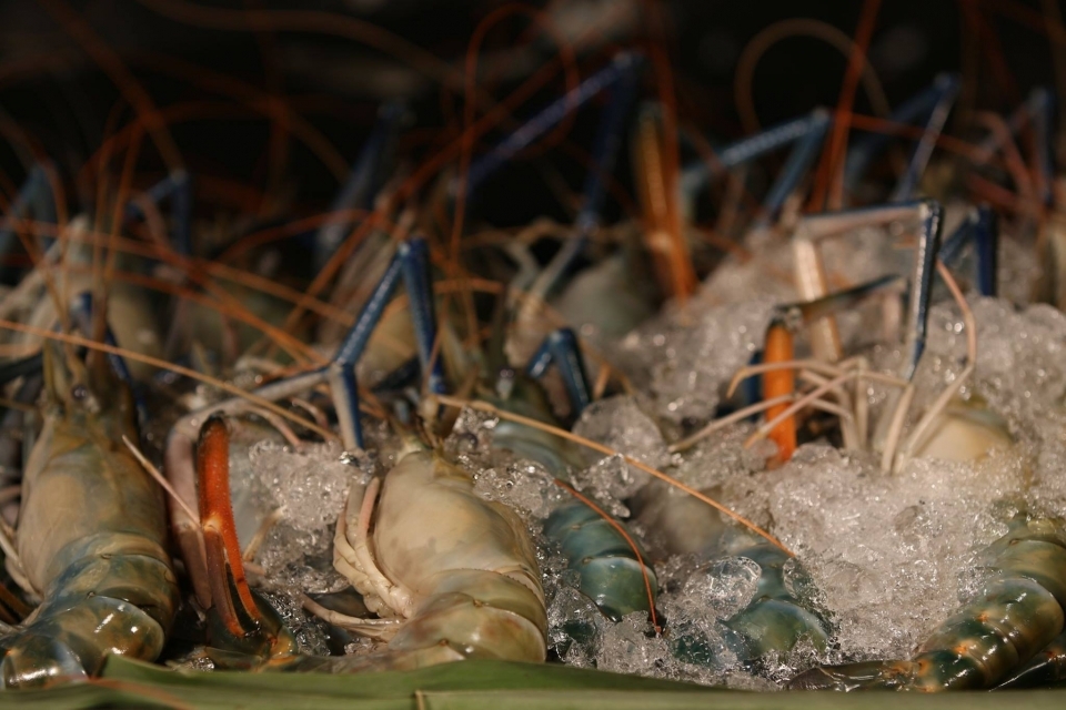 เจ๊ไข่ ซีฟู้ด ประชาชื่น