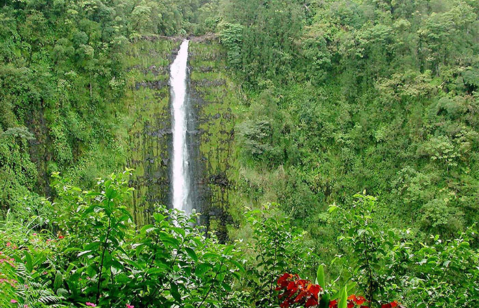 ประเทศสหรัฐฯ (Hilo, Hawaii)