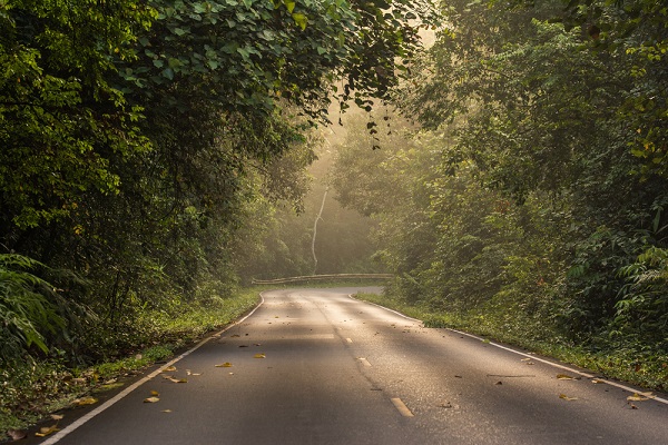 อุทยานแห่งชาติเขาใหญ่ จังหวัดนครราชสีมา