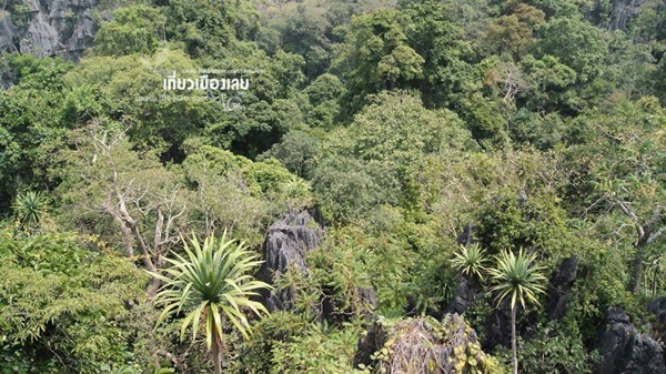 สวนหินผางาม