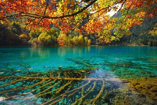 จิ่วจ้ายโกว จีน