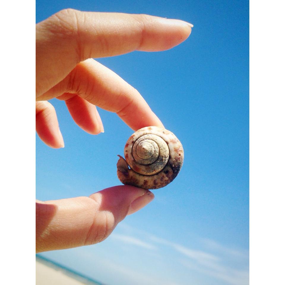 หอยสู้ฟ้า หน้าสู้ดิน