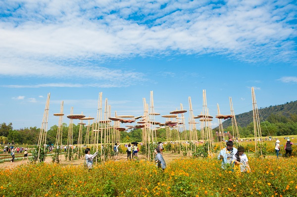 จิม ทอมป์สัน ฟาร์ม