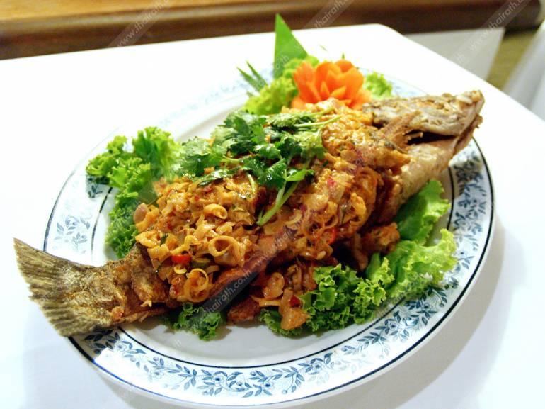 ปลาตัวใหญ่มาก ราคาเริ่มต้นที่ 310 บาท