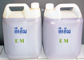 จุลินทรีย์อีเอ็ม