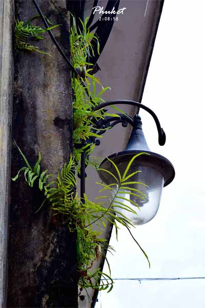 เที่ยวภูเก็ตแบบไม่รีบร้อน แบกเป้นั่งรถไฟไปทะเลหน้าฝน