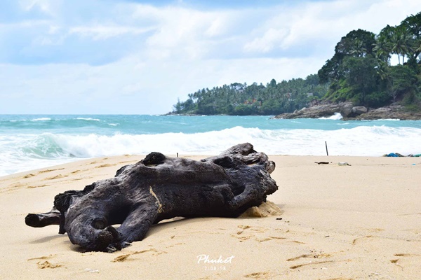 เที่ยวภูเก็ตแบบไม่รีบร้อน แบกเป้นั่งรถไฟไปทะเลหน้าฝน
