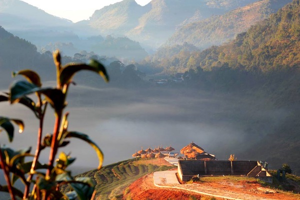 ไร่ชา 2000 จังหวัดเชียงใหม่