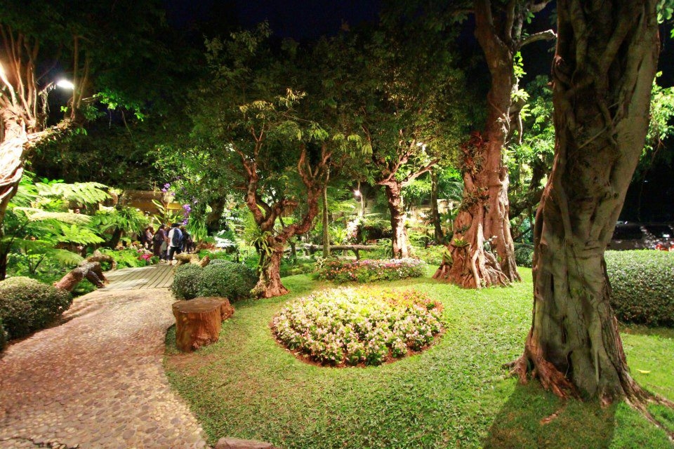 ข้าวเม่า – ข้าวฟ่าง เชียงใหม่