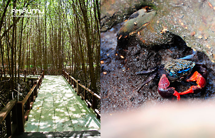 เที่ยวครบรสกับ 3 อำเภอ ของประจวบคีรีขันธ์