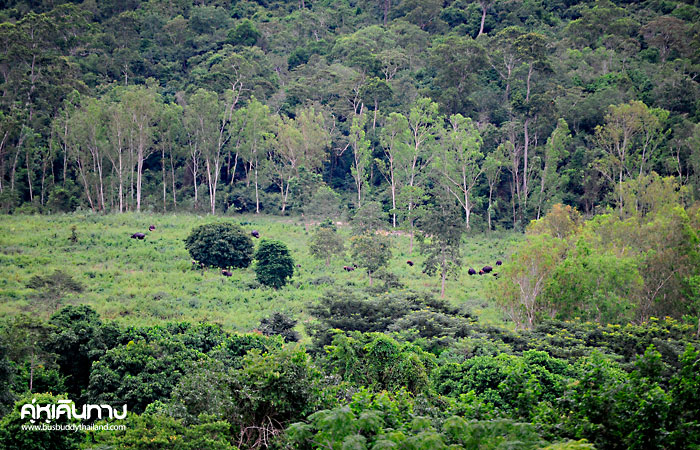 เที่ยวครบรสกับ 3 อำเภอ ของประจวบคีรีขันธ์