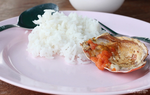 ปูไข่..คลองโคน “ร้านเกษร“ ของอร่อย..ที่ไม่ต้องเหาะไปกินถึงทะเล