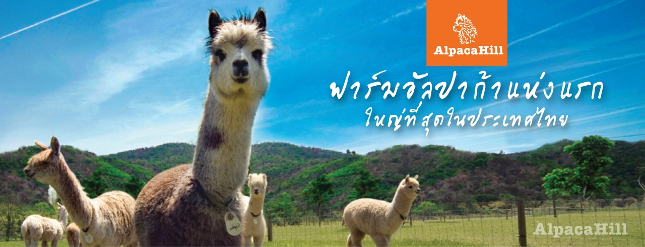 One day trip ราชบุรี , ฟาร์มอัลปาก้า , เที่ยวใกล้กรุงเทพ , เที่ยวธรรมชาติ