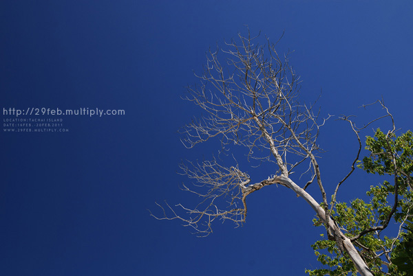 พักกาย พักใจ ที่ “เกาะตาชัย” สิมิลัน