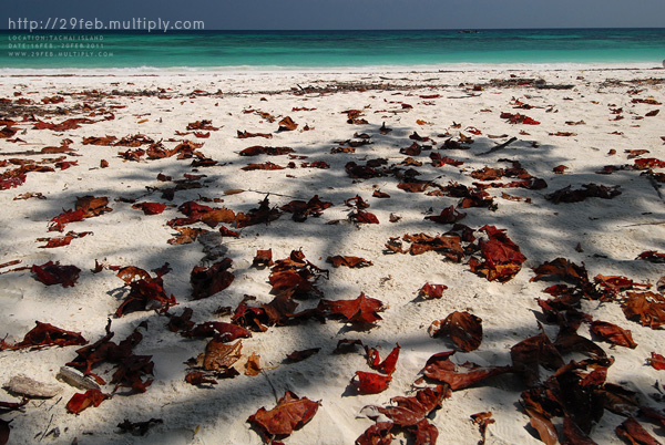 พักกาย พักใจ ที่ “เกาะตาชัย” สิมิลัน