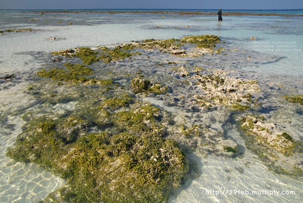 พักกาย พักใจ ที่ “เกาะตาชัย” สิมิลัน