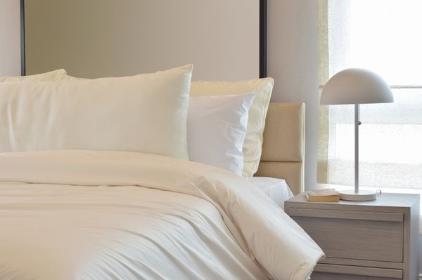 สาร flame retardant ที่ช่วยหน่วงเหนี่ยวการลุกไหม้