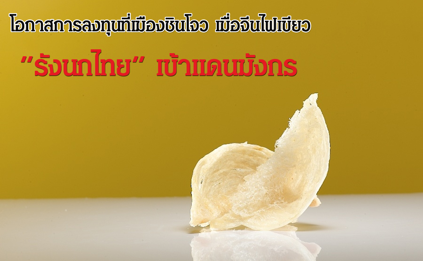 โอกาสการลงทุนที่เมืองชินโจว เมื่อจีนไฟเขียว รังนกไทย เข้าแดนมังกร