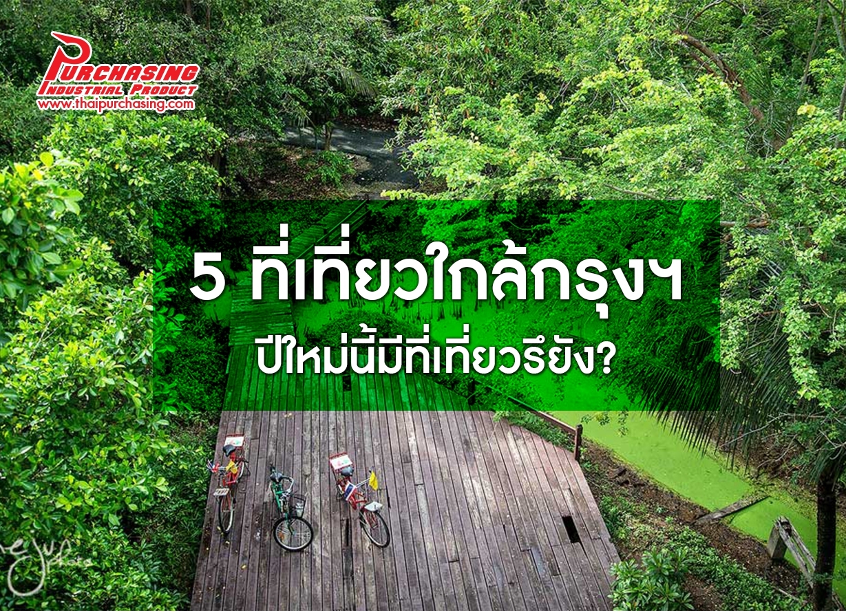 ที่เที่ยวปีใหม่