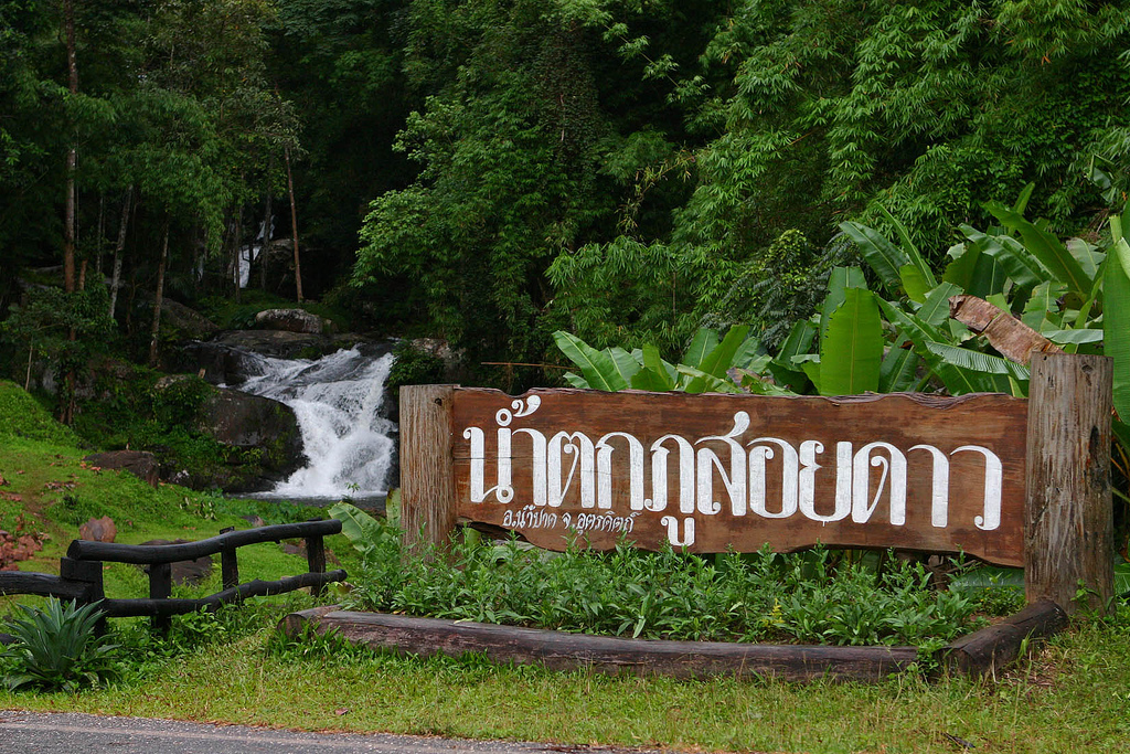 ปักหมุด..รับลมหนาว เที่ยว “ภูสอยดาว“ แบบมืออาชีพ