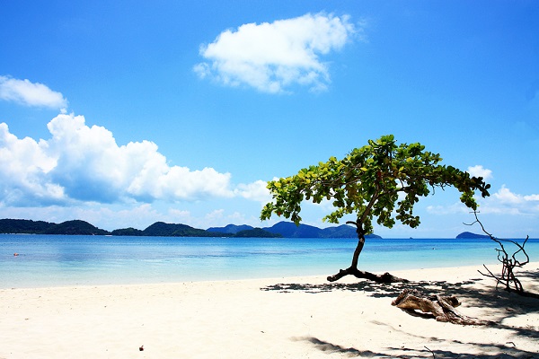 เกาะเหลายา