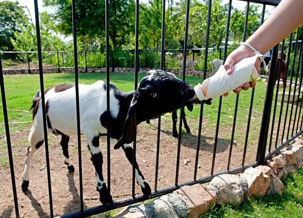 La Coscana สวนผึ้ง ราชบุรี