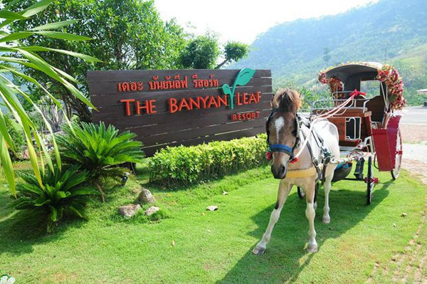 The banyan leaf Resort สวนผึ้ง ราชบุรี