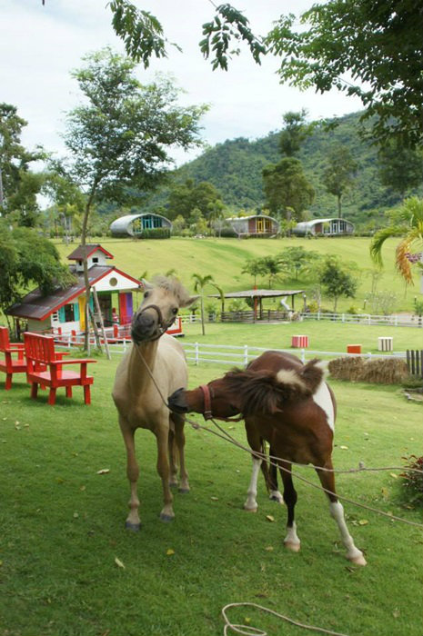 The banyan leaf Resort สวนผึ้ง ราชบุรี