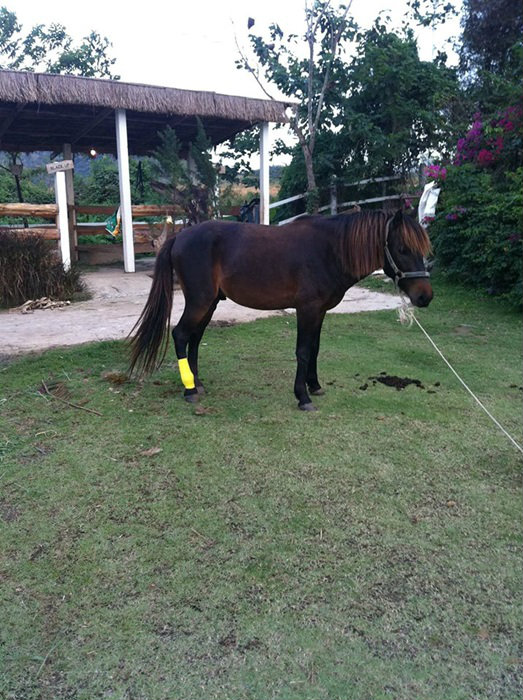 บ้านอ้อมกอดขุนเขา สวนผึ้ง ราชบุรี