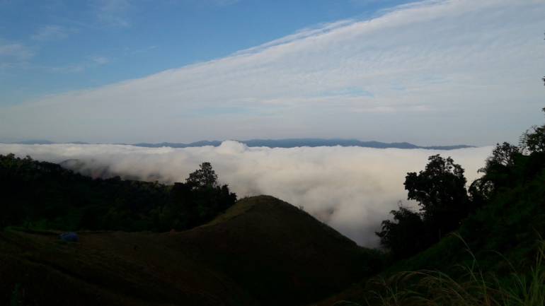 เวียงแก่นเปิดเทศกาลองุ่นไร้เมล็ดเสริมการท่องเที่ยวเชียงราย