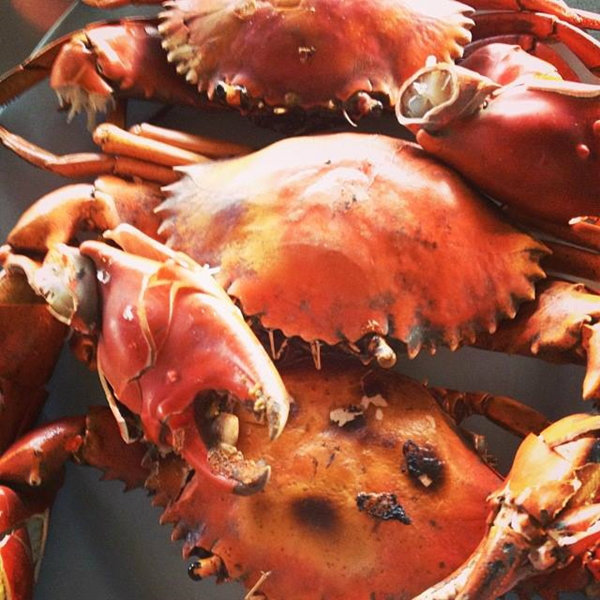 รุ่งตาปีซีฟู้ด