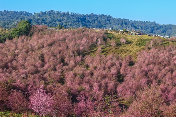 ภูลมโล จังหวัดเลย