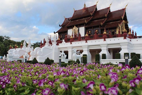 เทศกาลชมสวน (Flora Festival 2015) ณ อุทยานหลวงราชพฤกษ์ จังหวัดเชียงใหม่