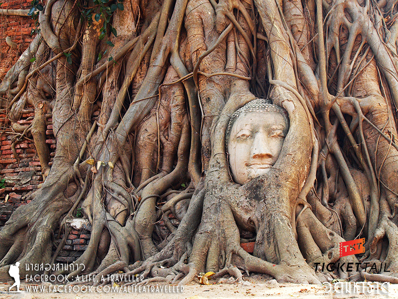 อยุธยา เมืองเก่าของเราแต่ก่อน