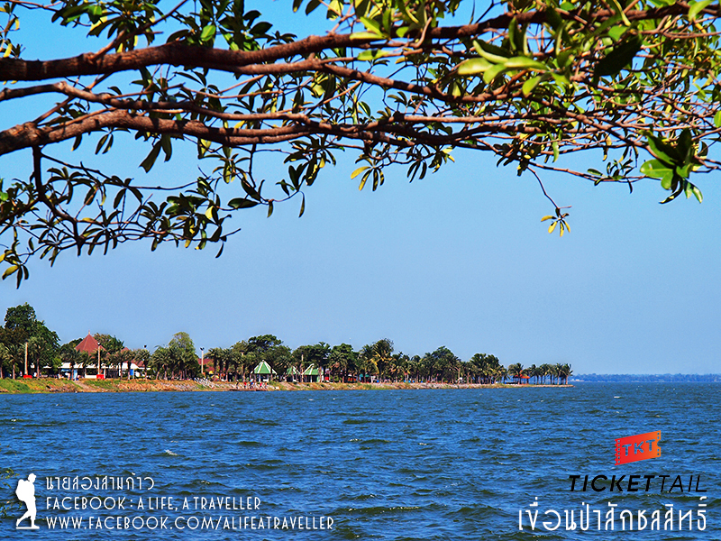 ลพบุรี เมืองพระนารายณ์ ลิง และผืนน้ำ