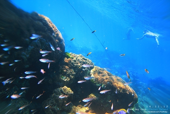 เกาะตาชัย พังงา