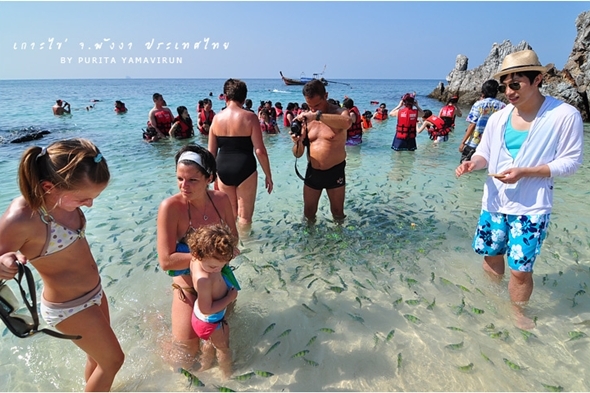 เกาะไข่ พังงา