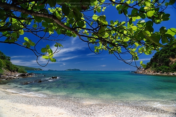 เกาะขาม สัตหีบ