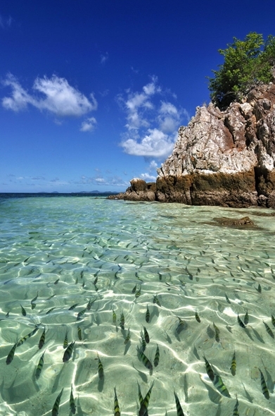 เกาะไข่ พังงา