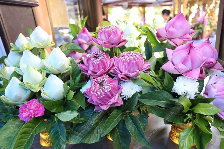 ถวายดอกบัว