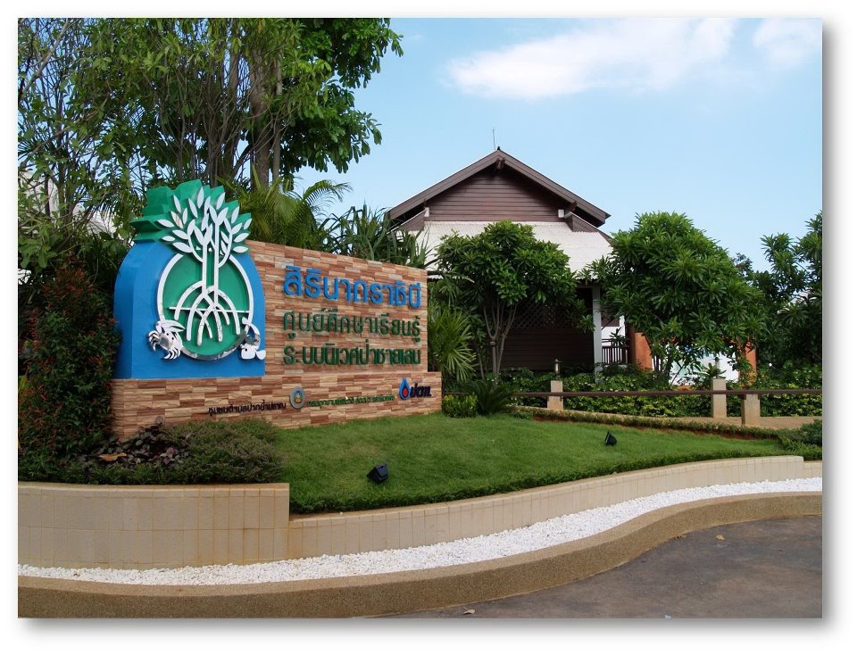 ศูนย์ศึกษาเรียนรู้ระบบนิเวศป่าชายเลนสิรินาถราชินี
